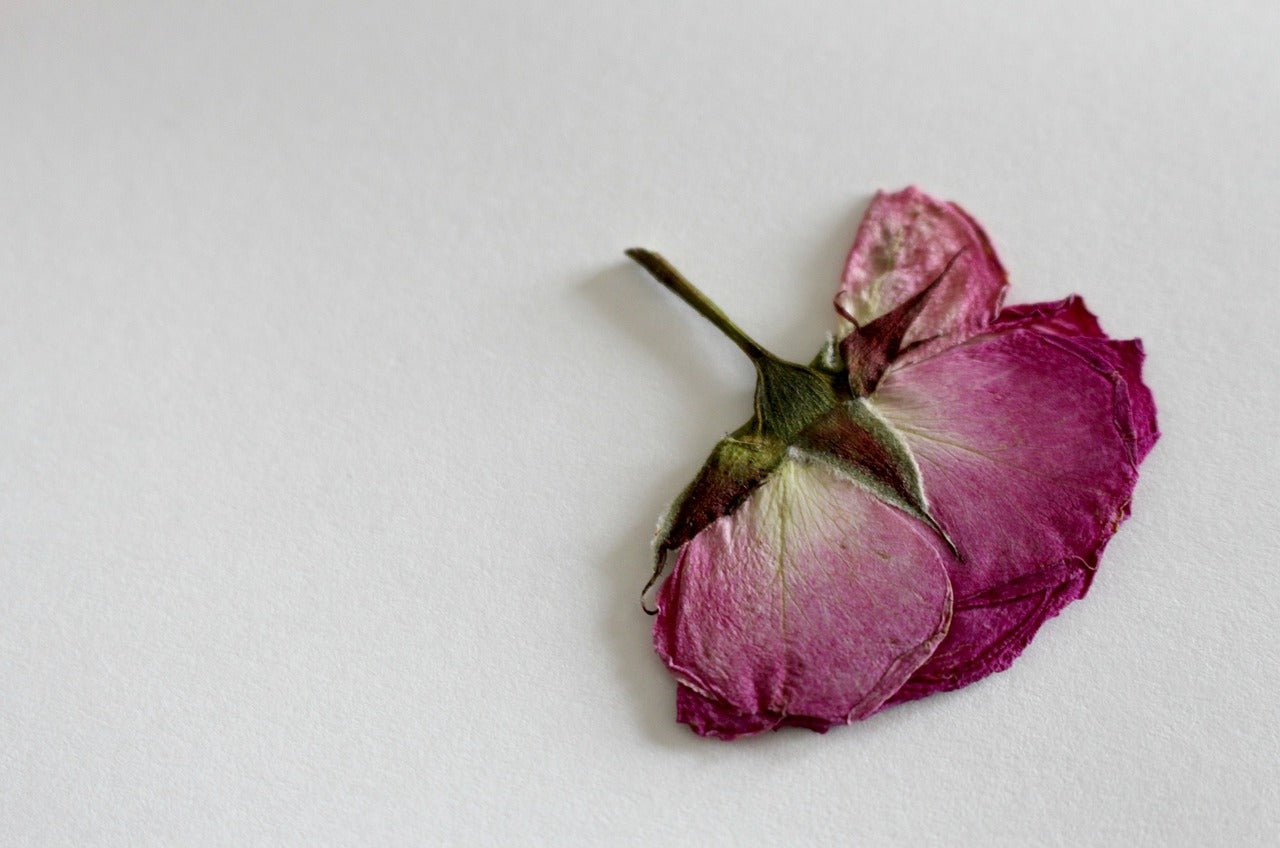 Ressecamento Vaginal é mais comum do que você imagina - Feel
