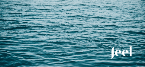 Lubrificação Feminina: Mitos e Tabus - Feel